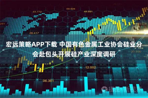 宏远策略APP下载 中国有色金属工业协会硅业分会赴包头开展硅产业深度调研
