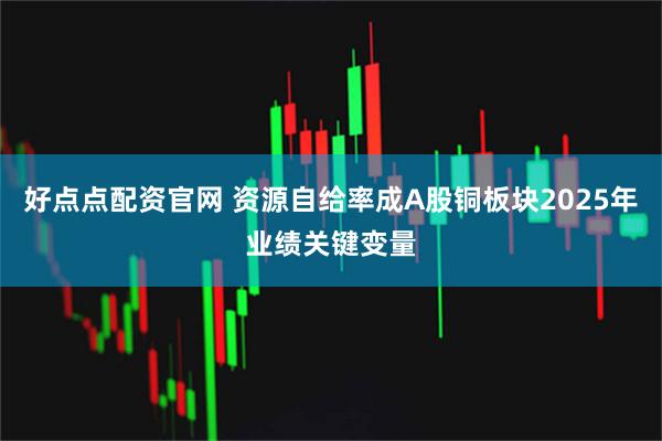 好点点配资官网 资源自给率成A股铜板块2025年业绩关键变量